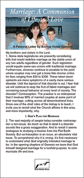 PMCL cover for web.jpg